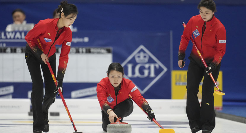 经历的前辈 经历的前辈