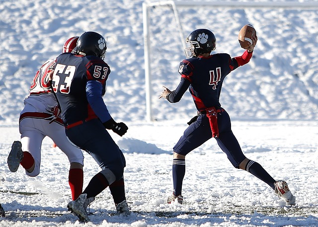 这意味着 这意味着
