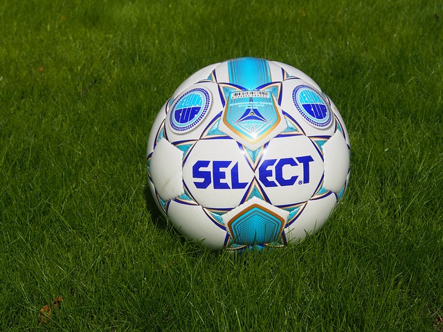 伦纳德的回 伦纳德的回