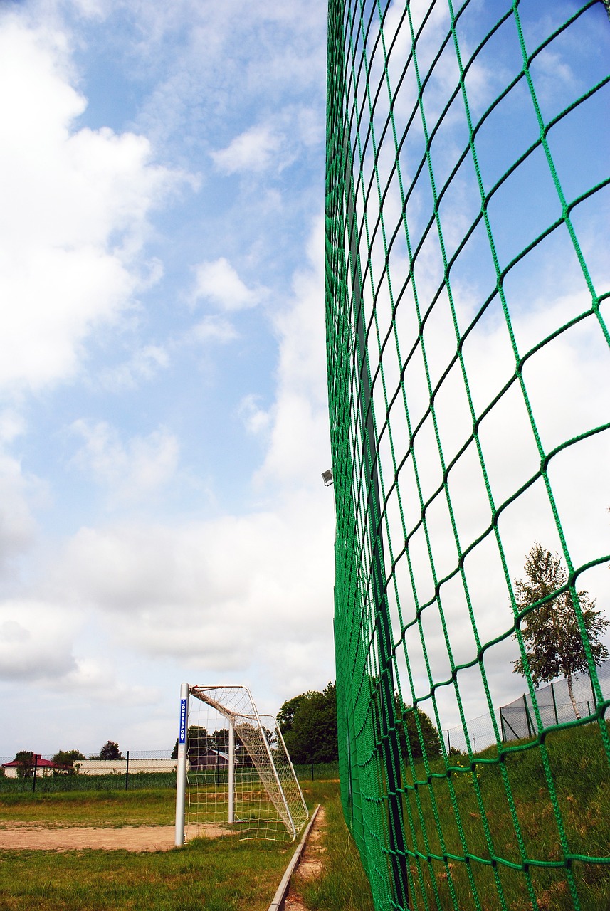 中脫穎而出 中脫穎而出