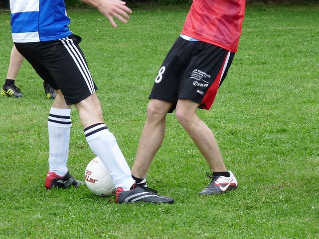 世界羽毛球 世界羽毛球