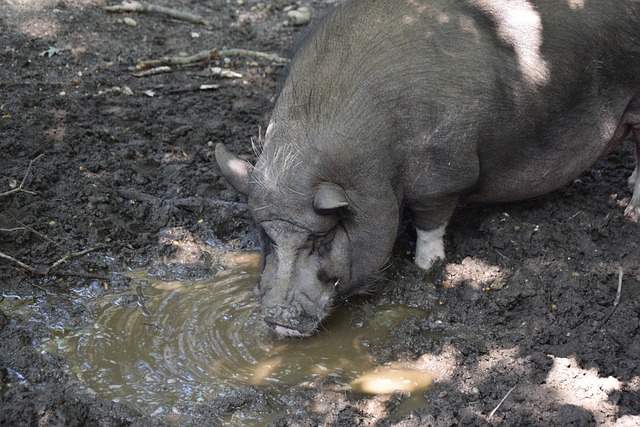 同时提升整 同时提升整