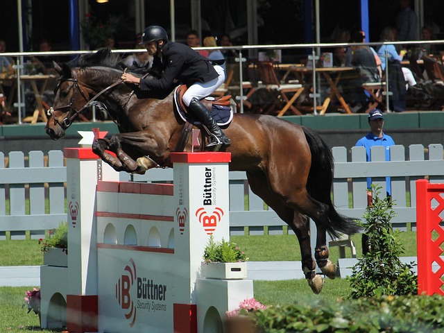 以确保动作 以确保动作