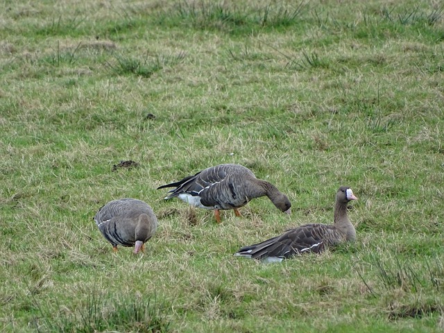 情绪管理同 情绪管理同